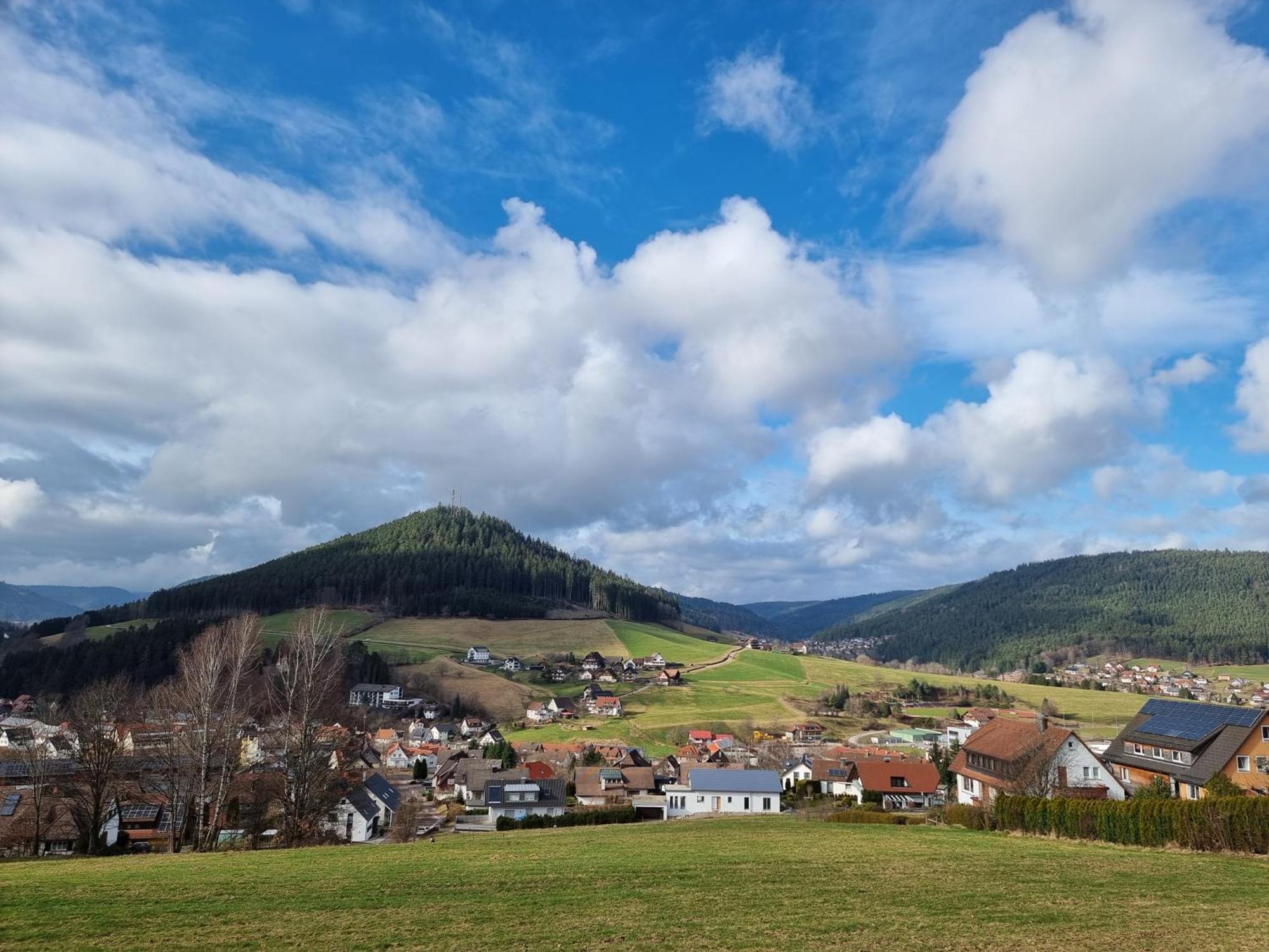 Fewo Mit Pool In Baiersbronn Zewnętrze zdjęcie